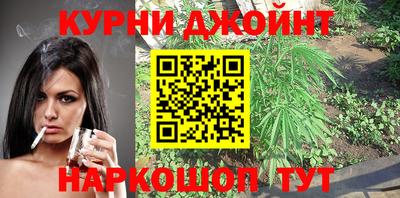 дмт Славгород
