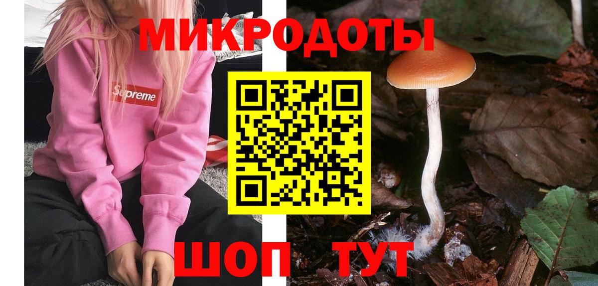 Псилоцибиновые грибы GOLDEN TEACHER Аша