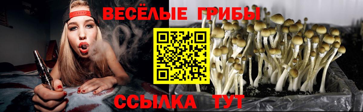 Псилоцибиновые грибы ЛСД  Вход с VPN  купить   Аша 